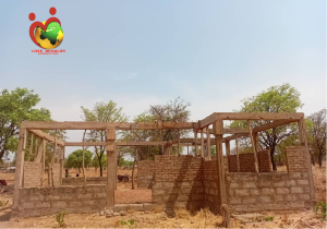 Ongoing building in one community