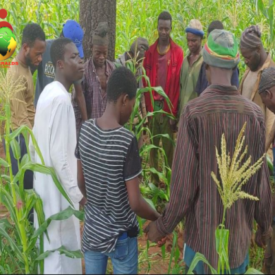 farm to farm outreaches_ Northern Ghana